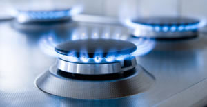 Le Diagnostic obligatoire : Gaz Le Diagnostic obligatoire : Gaz